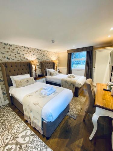 Auberge de jeunesse The Loft
